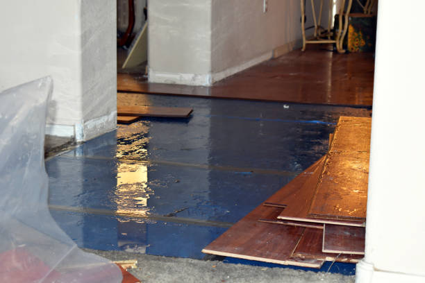 Professional Burst Pipe Cleanup technician working in Absaraka, ND